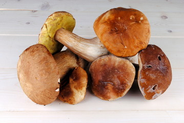 edible boletus mushrooms on a wooden table