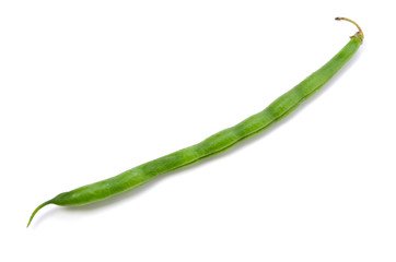 ドジョウインゲン