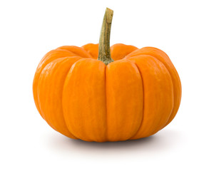 pumpkin over white background