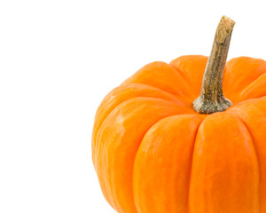 pumpkin over white background