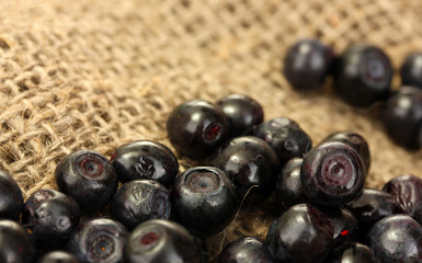 fresh blueberry on canvas background close-up