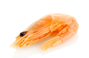 Boiled shrimp isolated on white