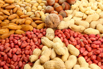 assortment of tasty nuts, close up