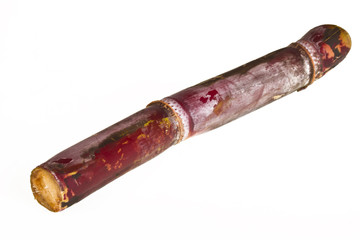 Sugar cane on white background