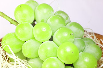 大粒の甘い葡萄