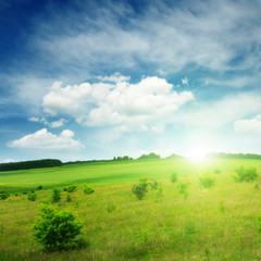 sunset on spring field