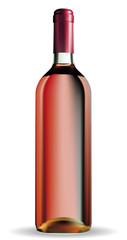 Wine bottle