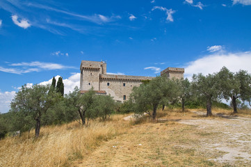 Albornoz fortress. Narni. Umbria. Italy.