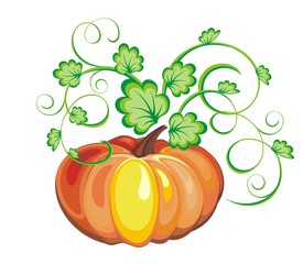 Seasonal vector illustration with pumpkins