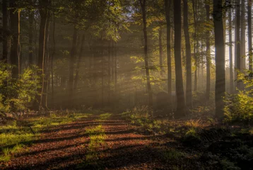 Herbst im Naturpark Saar-Hunsrück © wolfgangstaudt