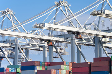 Fototapeta premium container ship in harbor