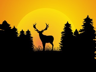 huntsman - hunter - deer - poacher - wild