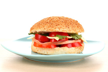 Appetizing sandwich on color plate isolated on white