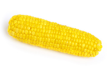 Corn isolated on white
