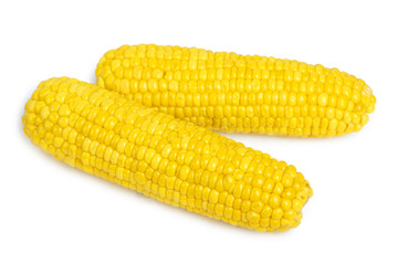 Corn isolated on white