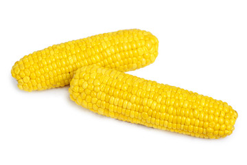 Corn isolated on white
