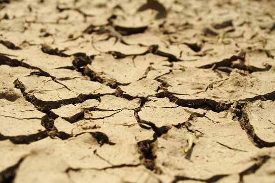 Detail of cracked dry soil.