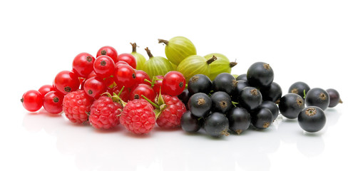 red and black currants and gooseberries on a white background