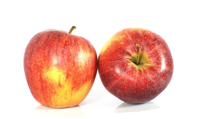 Deux pommes reinette sur fond blanc