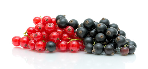 black and red currants on a white background