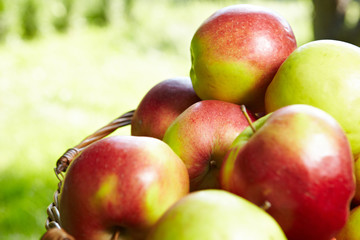 Healthy Organic Apples in the Basket.