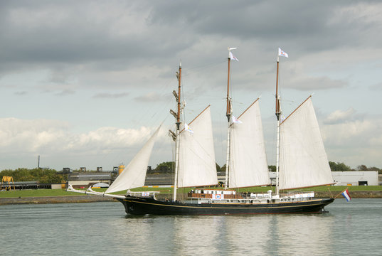 the gulden leeuw
