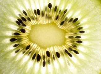 Slice of kiwi closeup