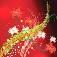 Poinsettia Background