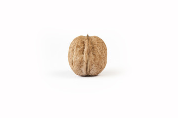 Walnut Isolated on White Background