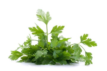 Frische Petersilie