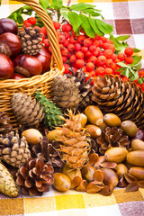 Wicker basket full of autumn acorns, cones and chestnuts