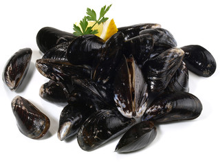 Miesmuscheln - frisch