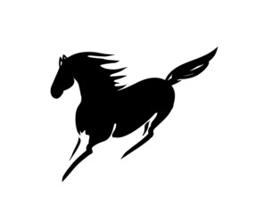 Obraz na płótnie Canvas czarny piękny koń