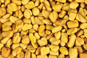 Fenugreek seeds