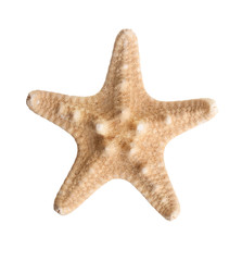 Starfish