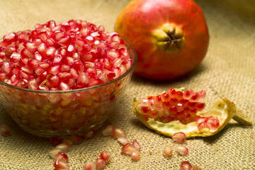 Pomegranate (Punica granatum)