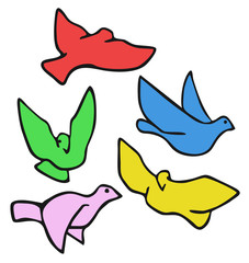Color bird fly