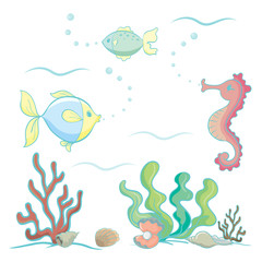 Fototapeta na wymiar zwierzęta morskie i rośliny