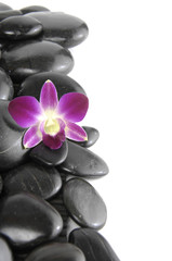 Obraz na płótnie Canvas Border of beautiful orchid with pebbles