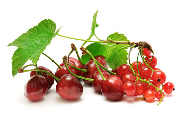sweet cherries and currant isolated on white background
