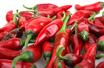 Red chilli peppers.