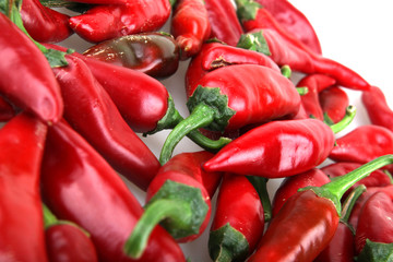 Red chilli peppers.