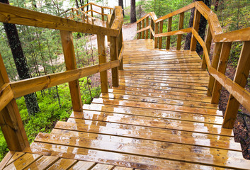 Wet wooden stairway in the forest. Imatra town, Finland