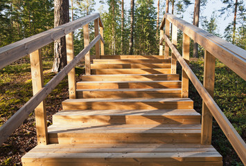 Wooden stairway goes up in the forest. Imatra town, Finland