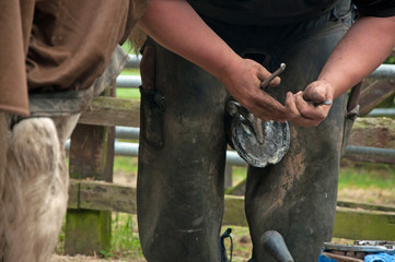 Farrrier