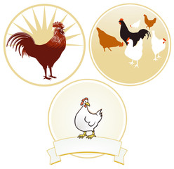 Hühner und Hahn Zeichen