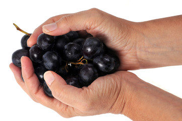 Une grappe de raisin noir
