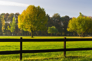 Green grass and colorful trees surrounded by a wooden fence