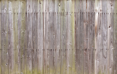Texture of gray weathered wooden lining boards