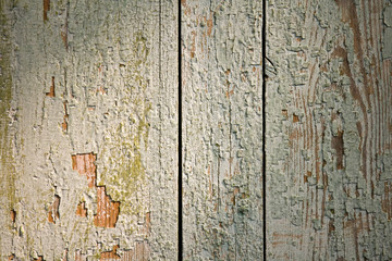 Grunge wood close-up background texture
